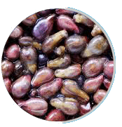 grapeseed
